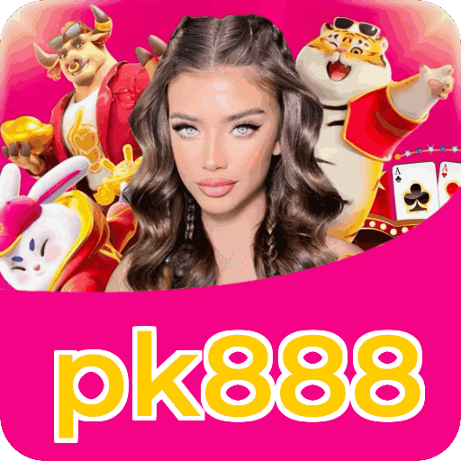 Interface pk888